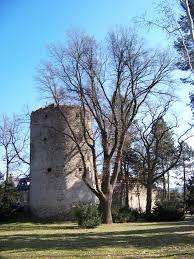 Kolowratská věž