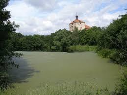 Velký rybník