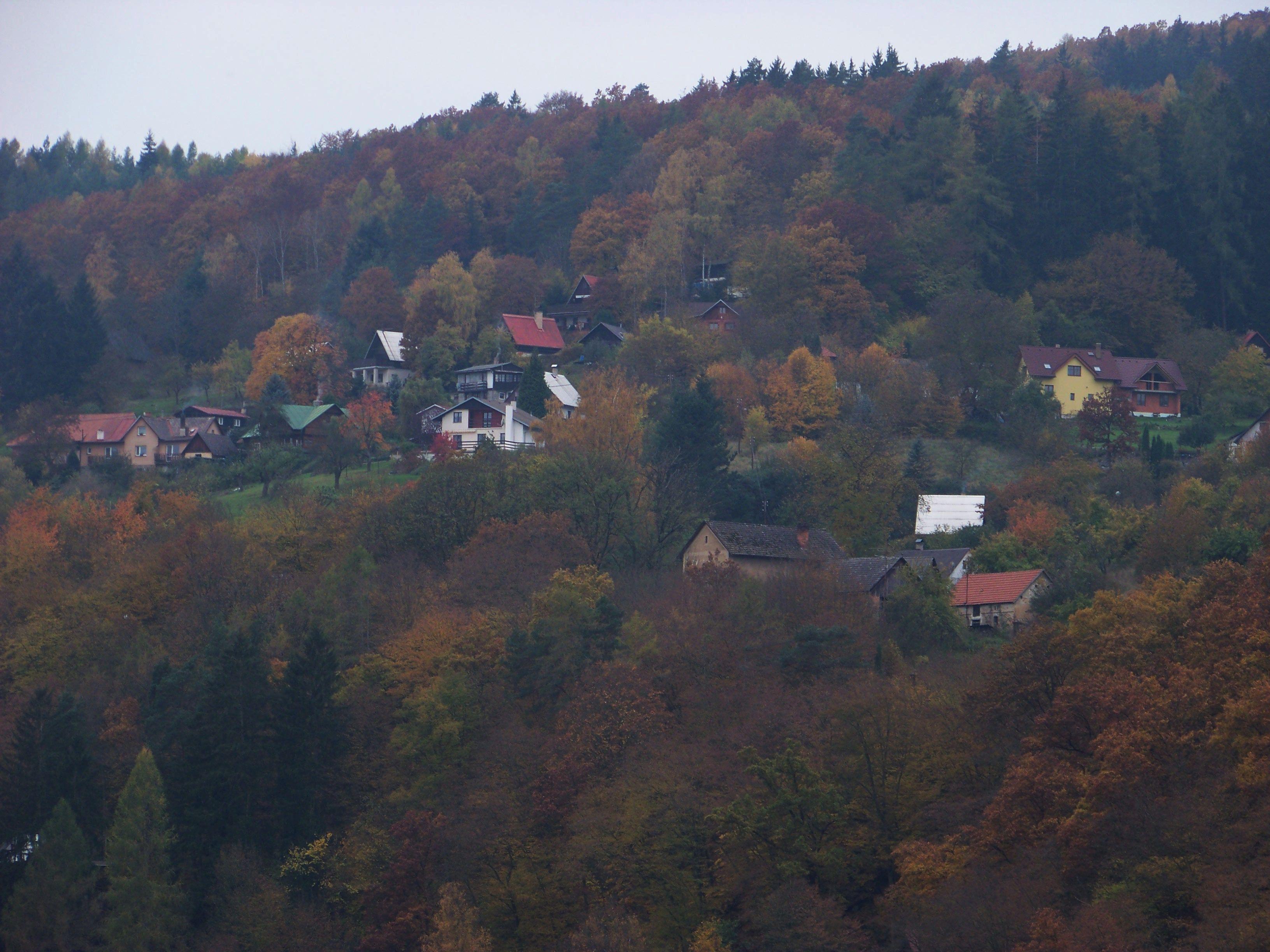 Třebenice