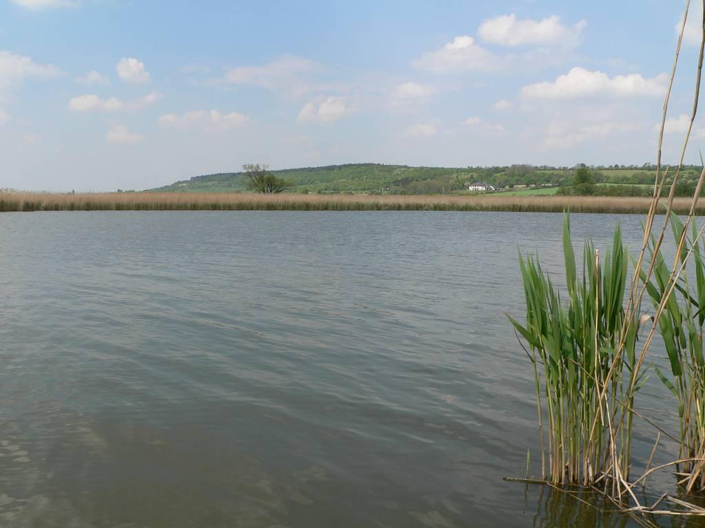 Žehuňská obora a Žehuňský rybník
