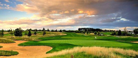 Golfové hřiště Albatross
