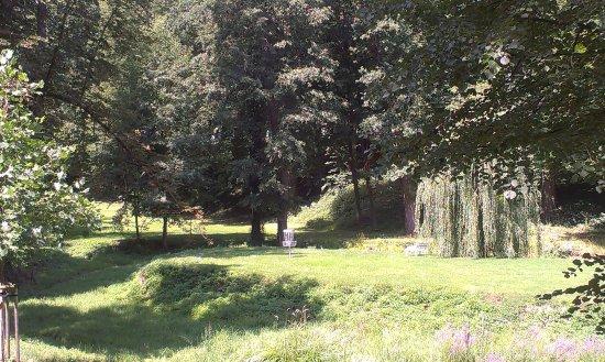 Disc golf park Chateau Hostacov