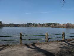 Vyžlovský rybník