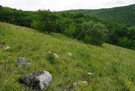 Doutnáč