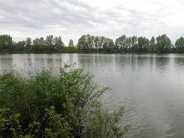 Baraba